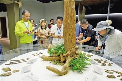 體驗精湛工藝  感受創新之路  57名海外華文媒體代表來仙采風